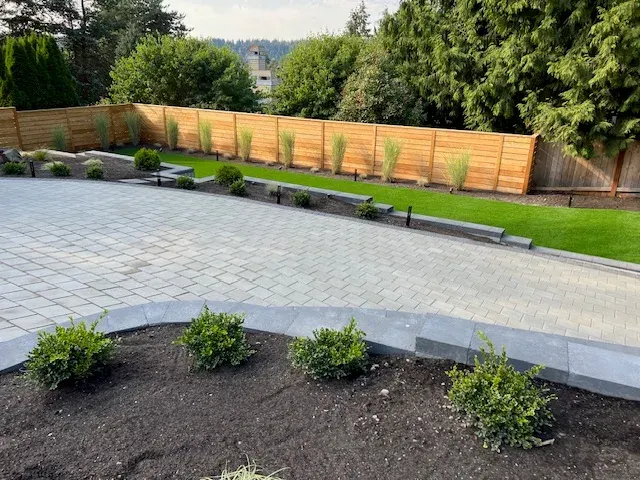 Grey paver terrace curving past a newly planted bed of clipped box, with a cedar fence and turf strip behind