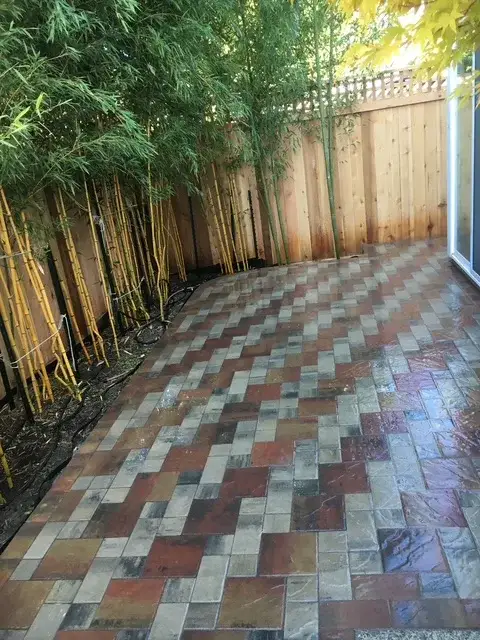 Narrow side-yard path of multi-tone pavers running beside a golden bamboo screen and a new cedar fence