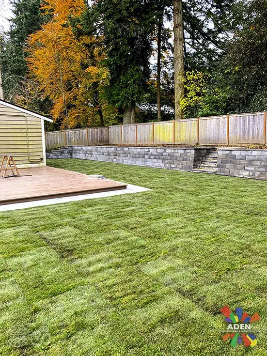 Freshly laid lawn running up to a grey block retaining wall and a newly framed timber deck against a cedar fence
