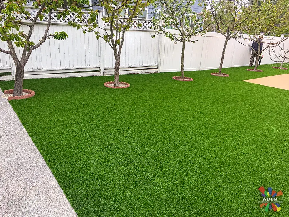 Artificial turf lawn laid around four established trees with mulch rings, enclosed by a white vinyl fence