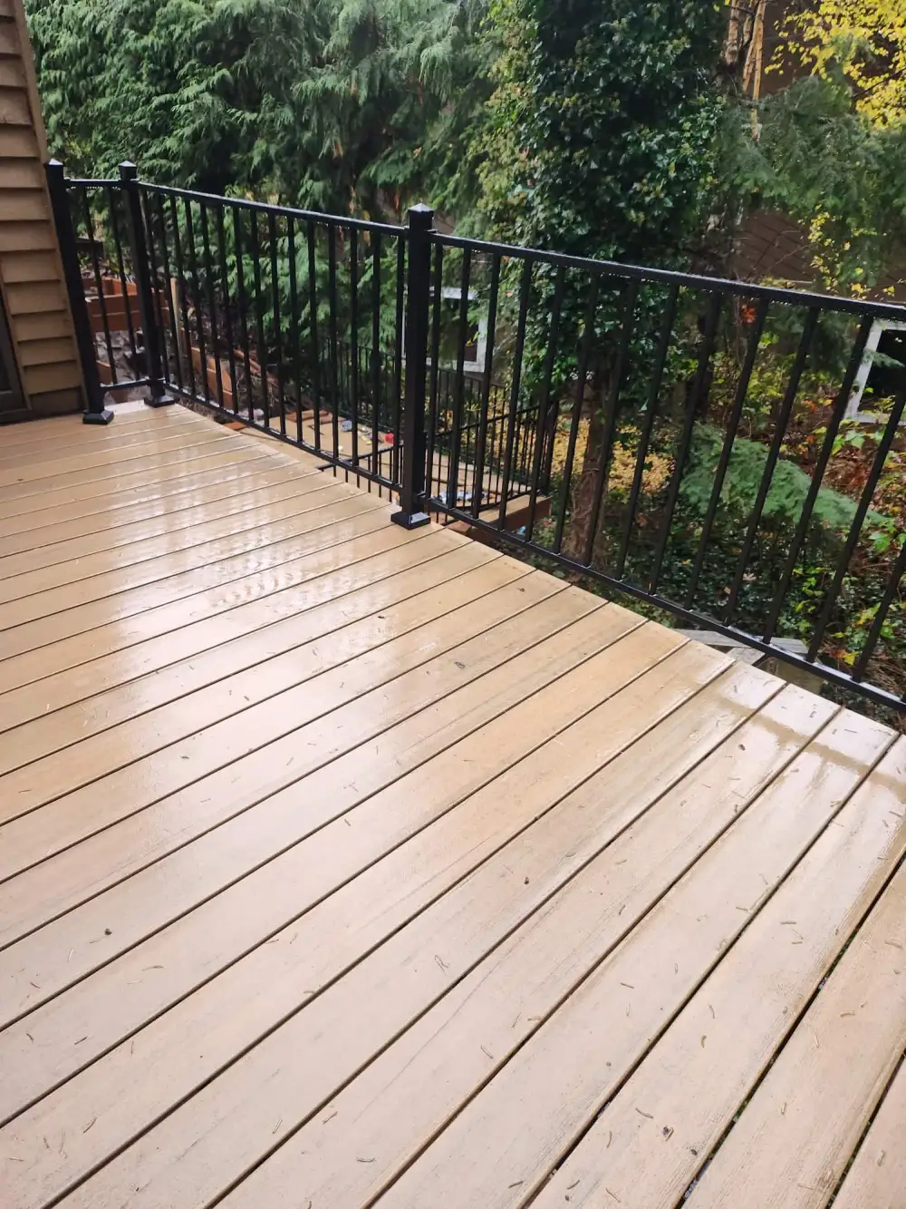 Rain-wet composite deck with black metal railing looking out into conifers and autumn foliage at a Redmond house