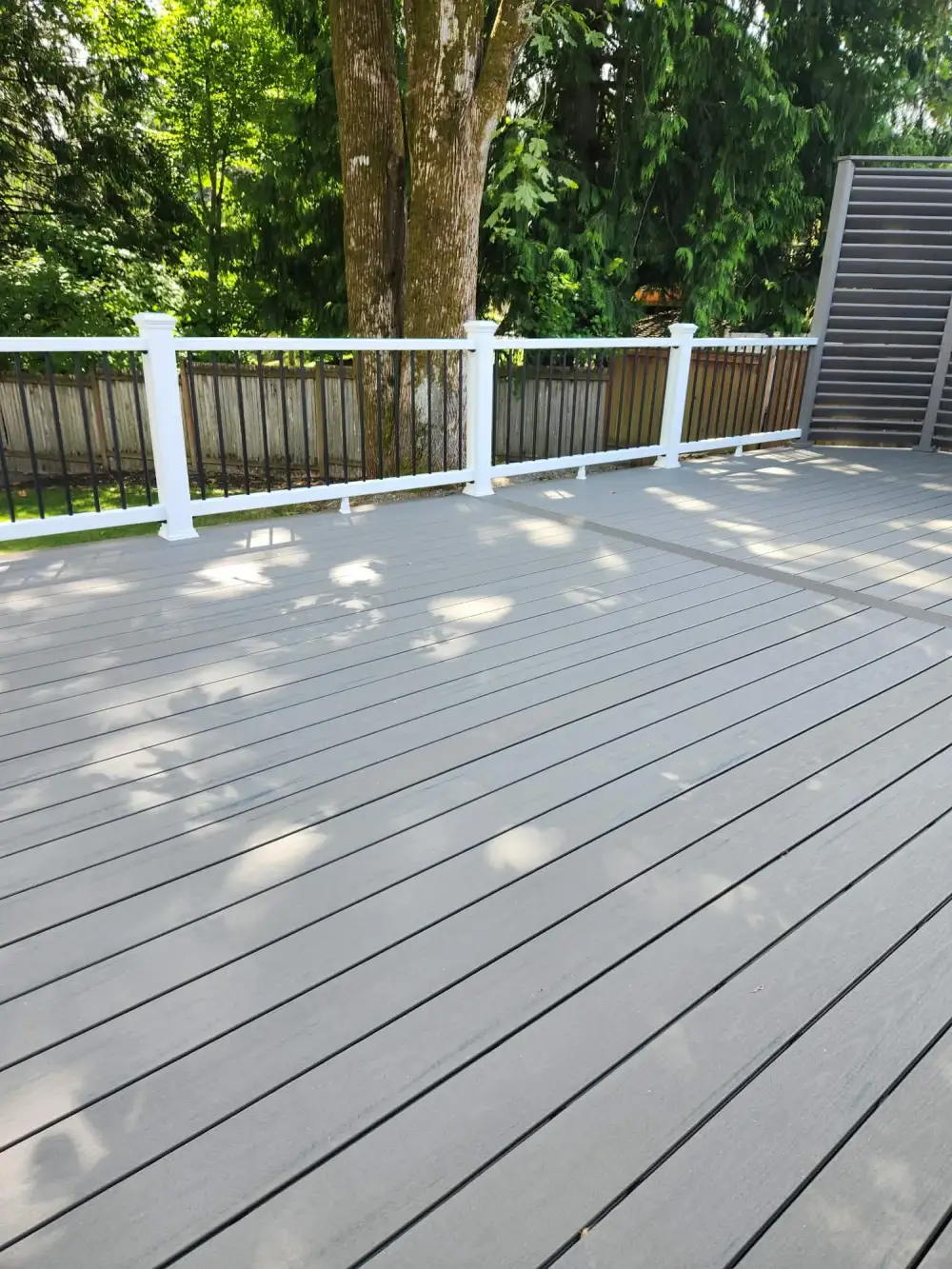 Large grey composite deck with white posts and black metal balusters beneath a mature maple in a fenced Sammamish garden