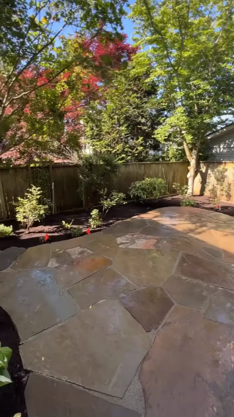 Hand-fitted flagstone patio with tight joints, freshly washed, with new planting beds and a Japanese maple behind it in a fenced Bellevue back garden