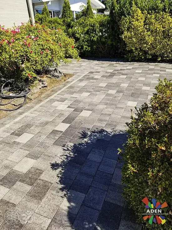 Newly laid grey paver driveway with jointing sand still on the surface, bordered by shrubs and bare soil