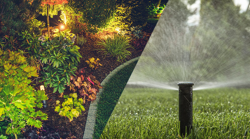 Aden - Landscaping and Constuction in Seattle